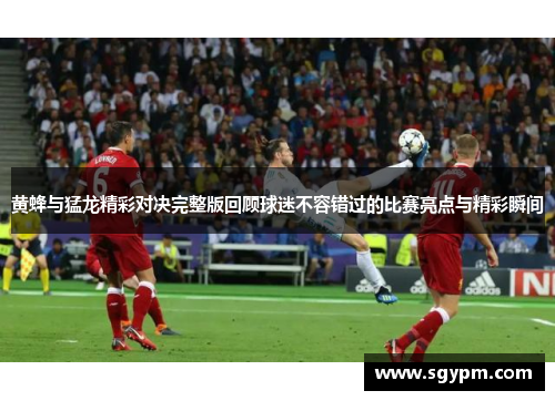 黄蜂与猛龙精彩对决完整版回顾球迷不容错过的比赛亮点与精彩瞬间