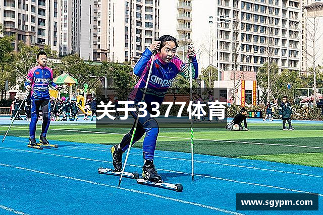 关于3377体育